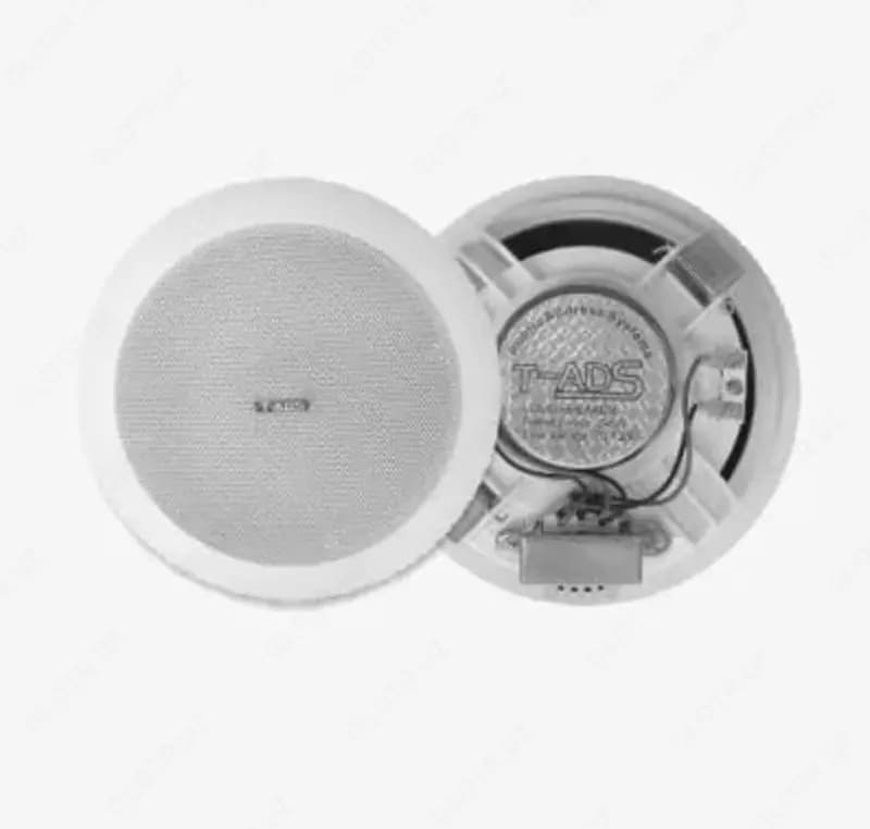 Громкоговоритель TADS DS-818 — 1