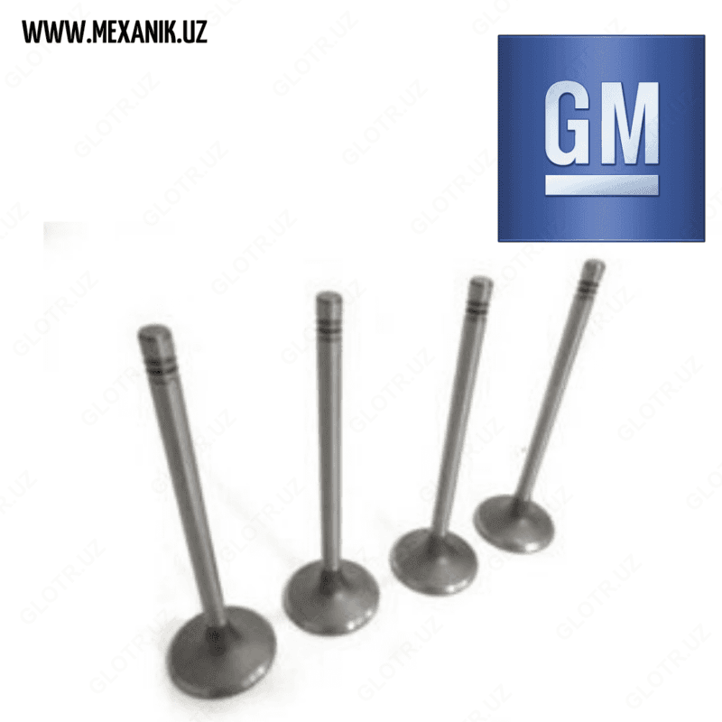 Клапана двигателя Ласетти 1,8 GM (Ю.Корея) — 1