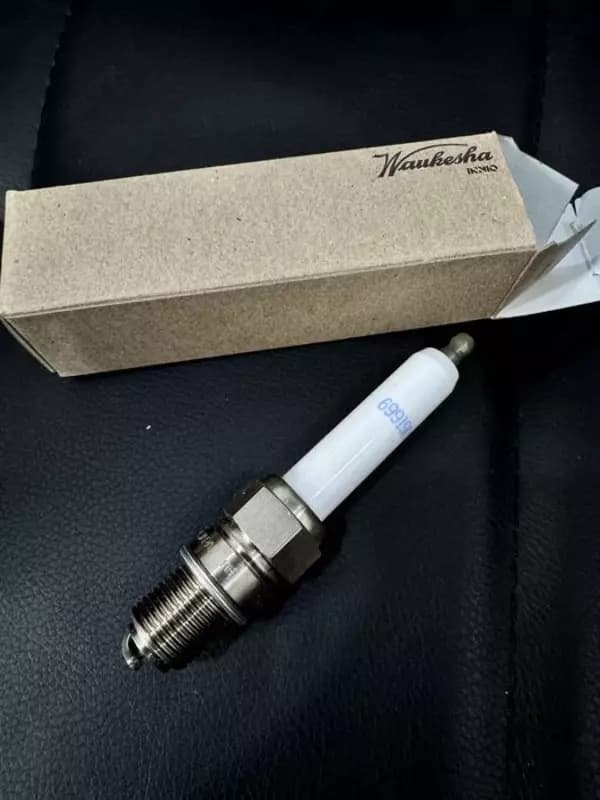 69919D Свеча зажигания Waukesha — 1