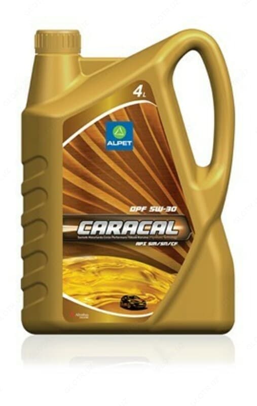 Синтетическое высокопроизводительное масло CARACAL DPF 5W-30 — 2