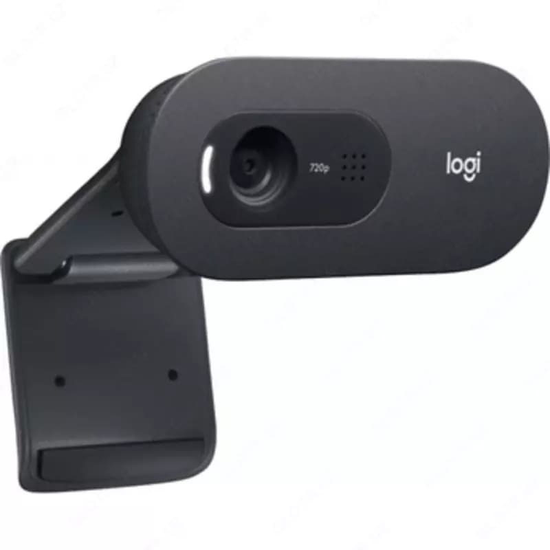 Веб камера Logitech C505e — 1