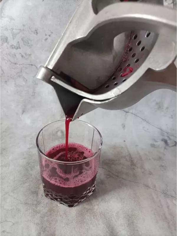 Механическая соковыжималка (большая) — 8