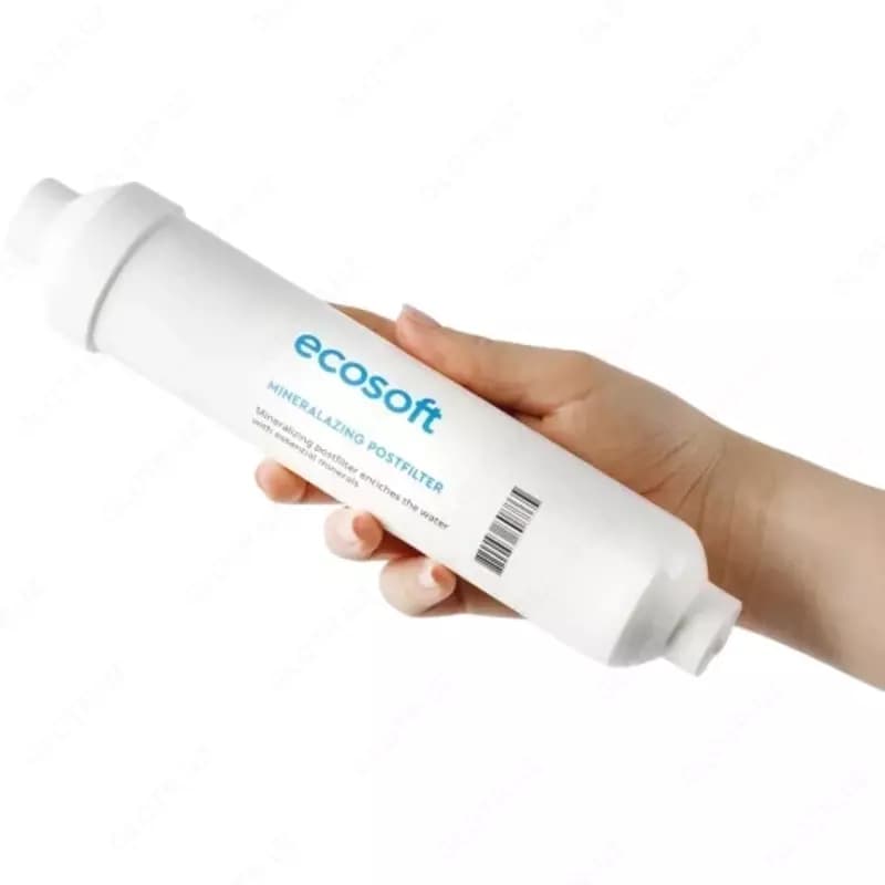 Минерализатор Ecosoft 2х10” — 2