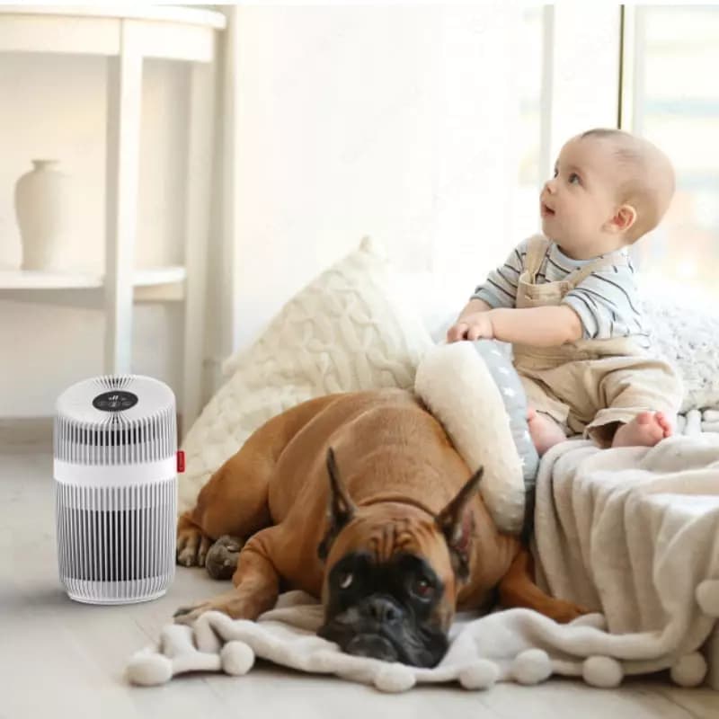 Очиститель воздуха Boneco P230 — 4