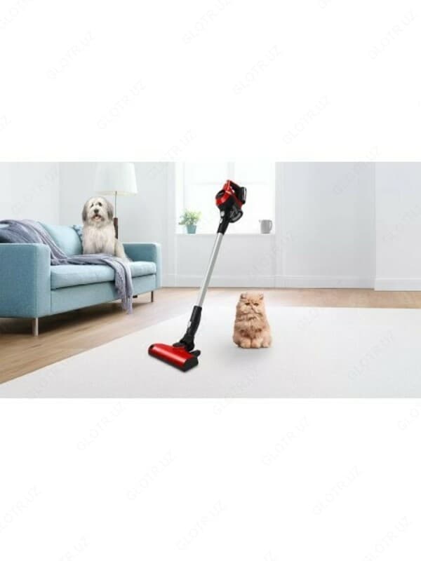 ПЫЛЕСОС BOSCH BBS61PET2 — 3
