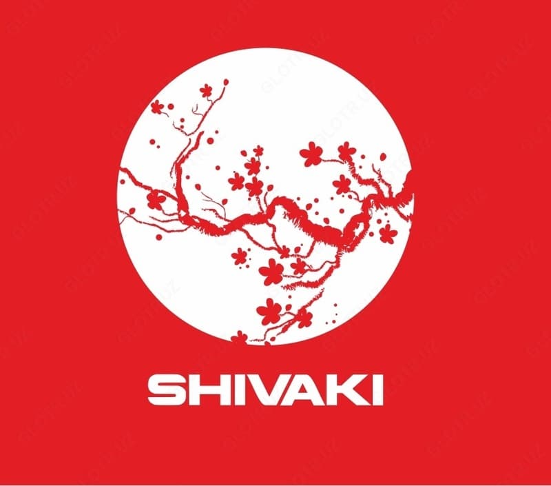 Стиральная машина Shivaki TG 60 F white-blue 3D — 2