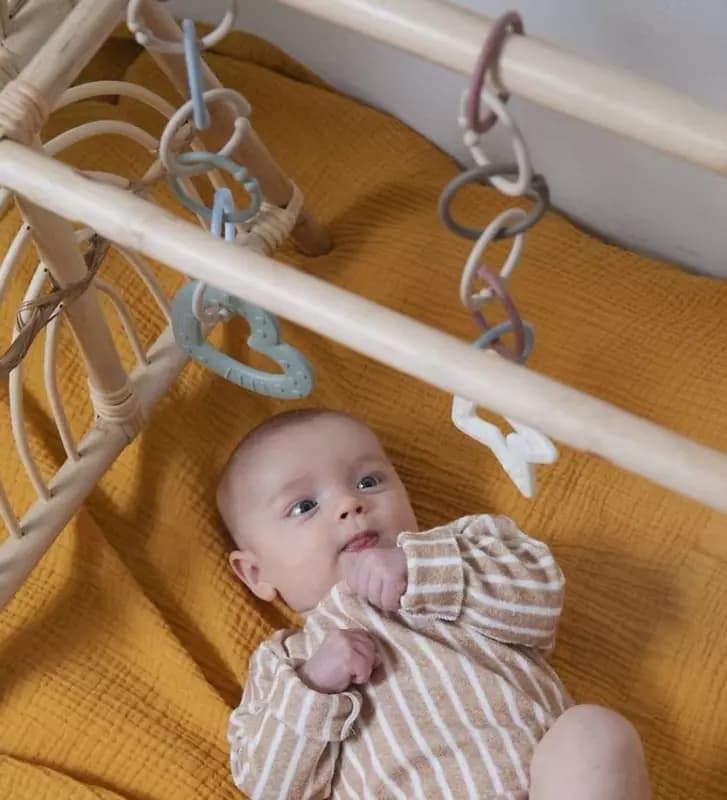 Любимые BIBS LOOPS - колечки игрушки грызунки. — 4