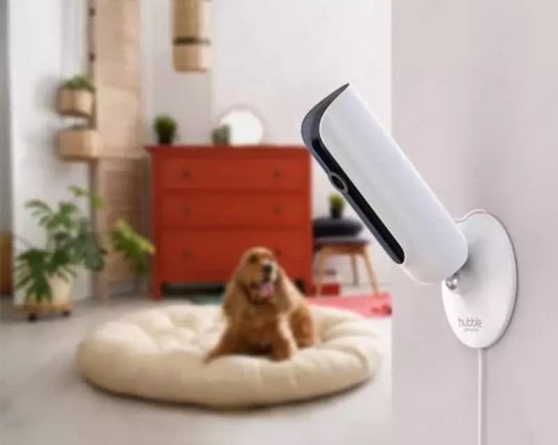 Детская видеокамера Hubble Smart Wi-Fi Full HD Wireless Fam Cam — 2
