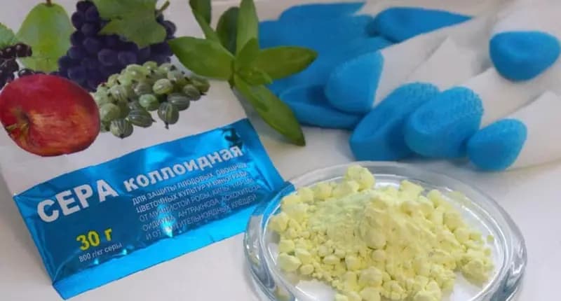 Коллоидная сера (фунгицид и акарицид) АО ”Navoiyazot” в п/э емкости объемом 1 литр, Тs 00203849-41:2015 1-ўзг. — 2
