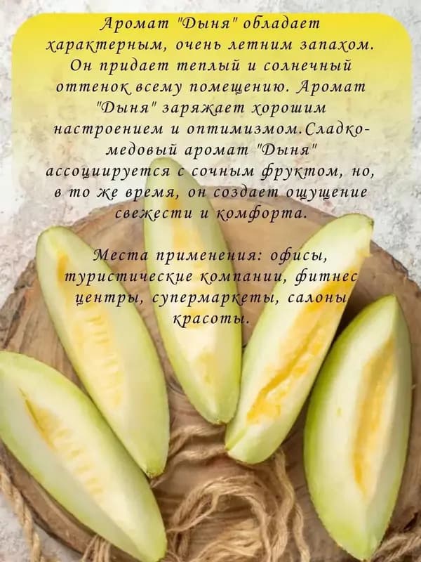Ароматизатор ”Дыня” для дома (110 мл). — 5