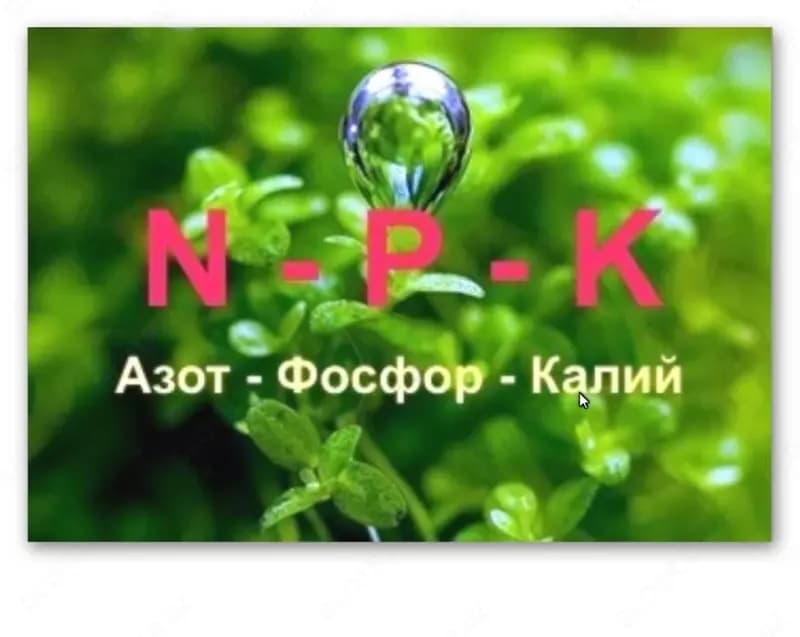Раствор фосфора и азота 3-30-0 +ME (минеральное удобрение) NUTRI COM PZN — 2