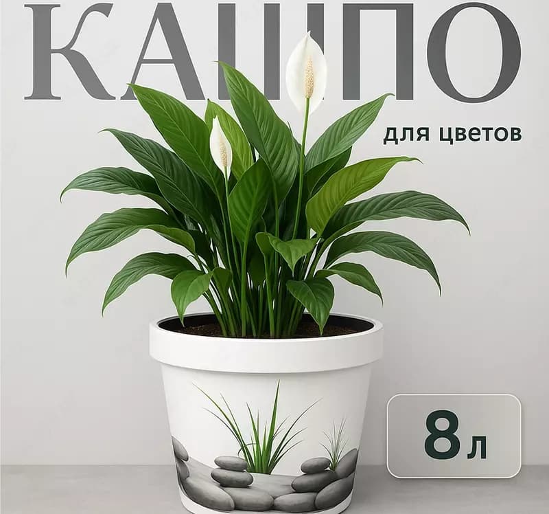 Кашпо для цветов, 8л — 1