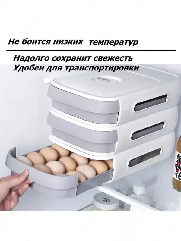 Контейнер для яиц — 2