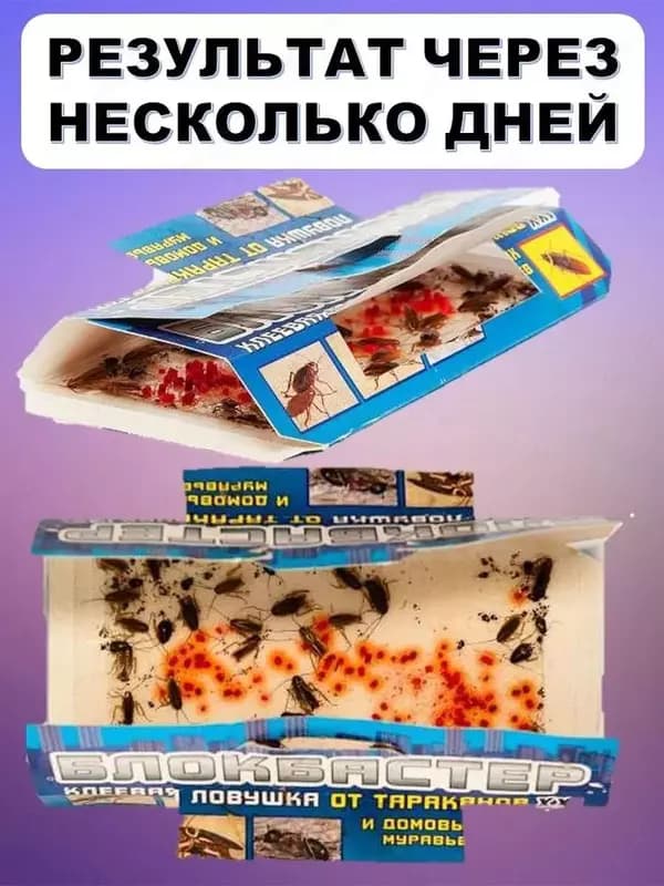 Клеевая ловушка Блокбастер XII - домик для тараканов и муравьев — 1