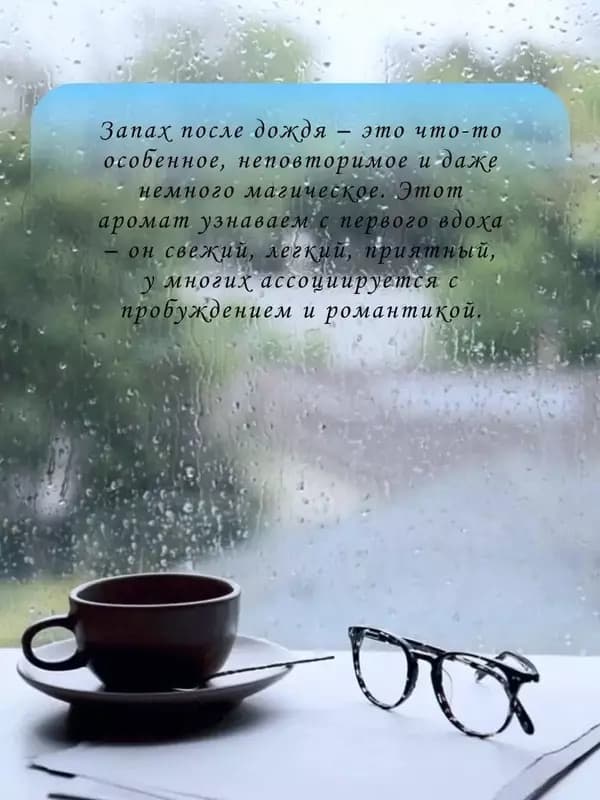 Ароматизатор ”Запах после дождя” для дома (110 мл). — 5