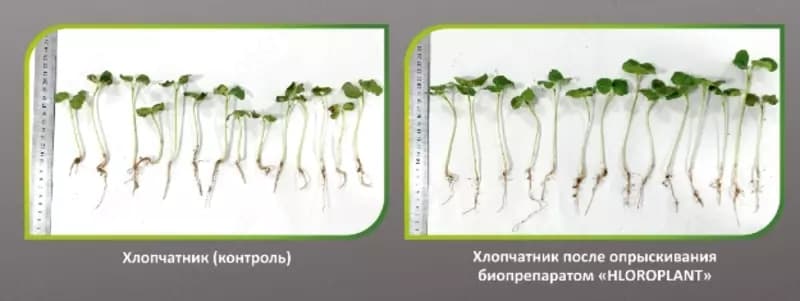 Минеральные удобрения — 3