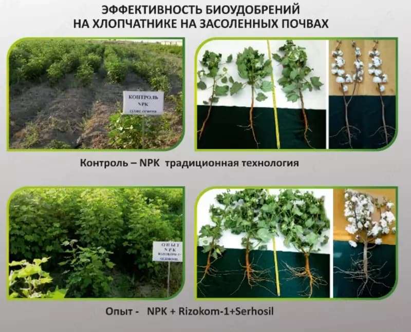 Минеральные удобрения — 5