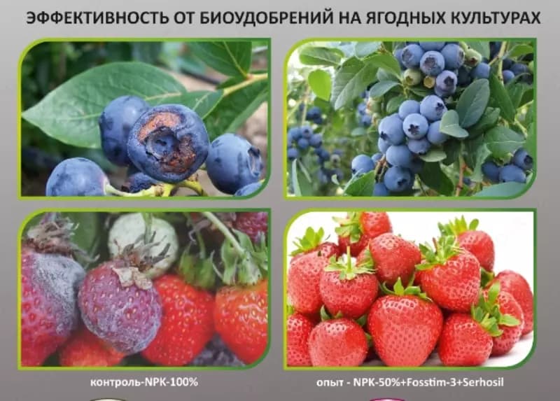 Минеральные удобрения — 6