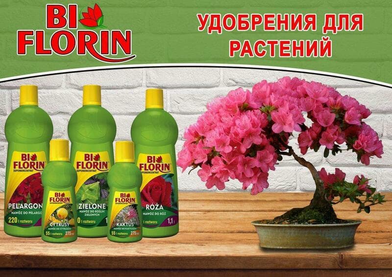 Bio Florin - удобрение для растений — 1