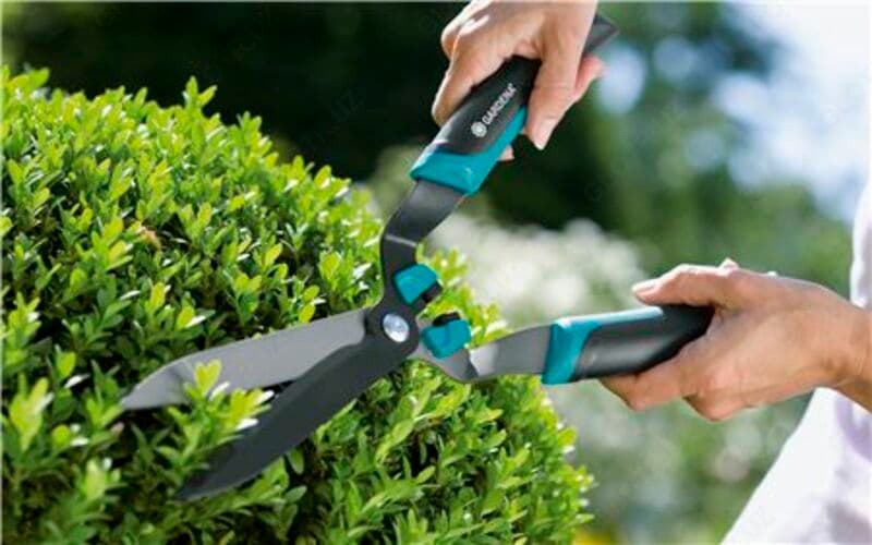 Ножницы Boxwood Comfort (art №00399-20) — 2