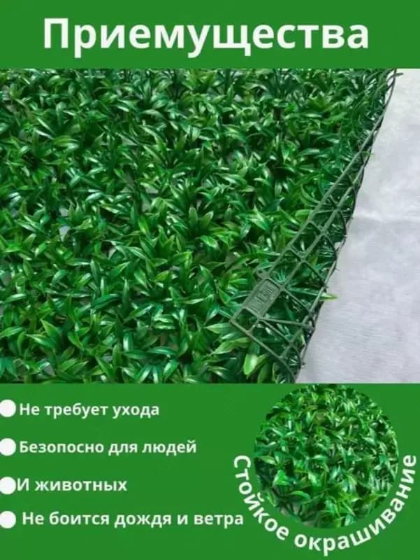Искусственная Трава на Стену для Декора Газон на 60х40см — 3