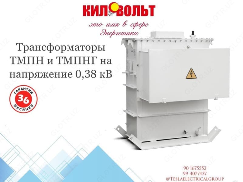 Трансформатор ТМПН-250 УХЛ-1 (универсал) — 2