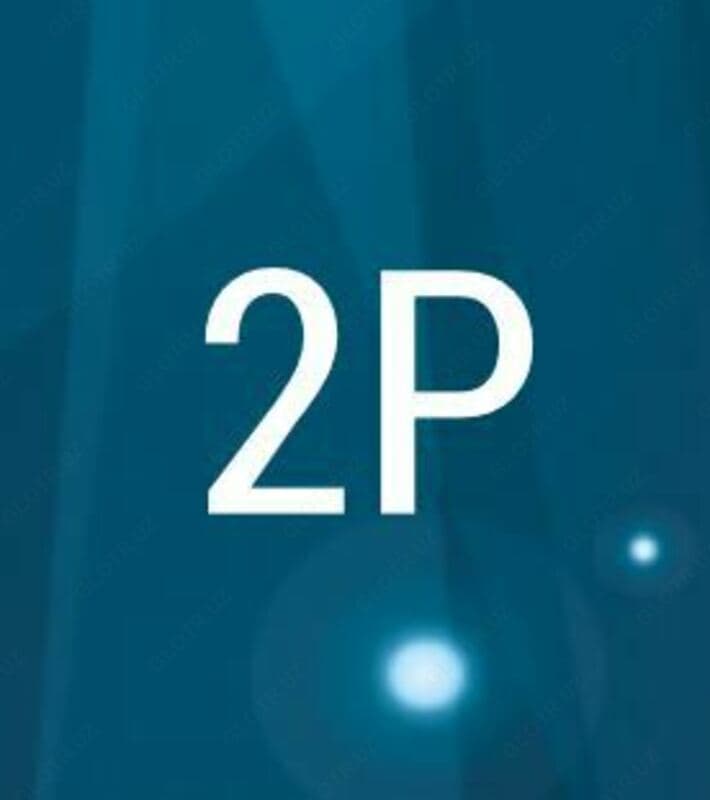 Автоматический выключатель 2P 50A — 2