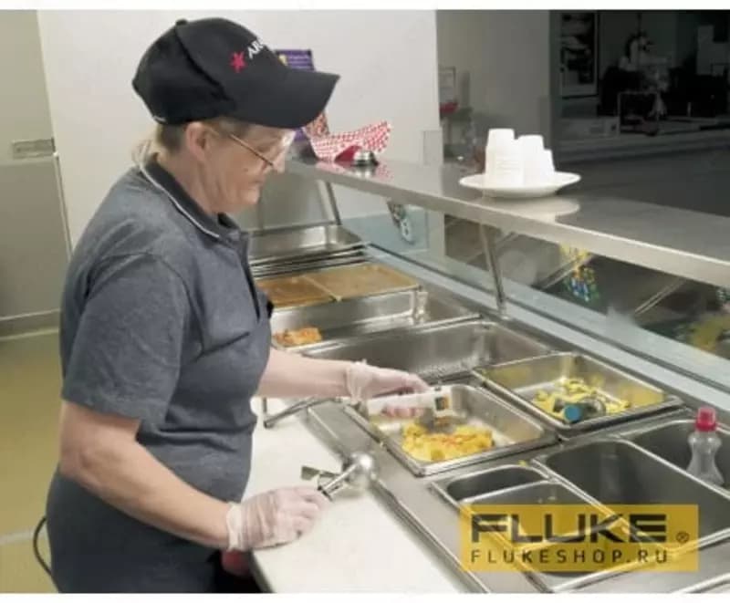 Пирометр для пищевых продуктов Fluke FP — 4