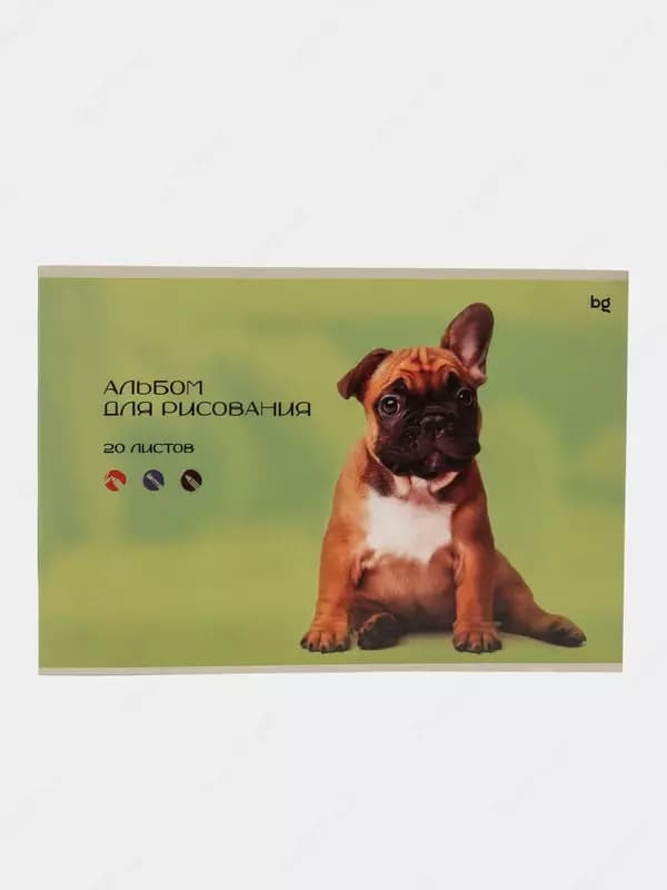 Альбом для рисования 20л., А4, на скрепке BG ”Собачка и котик — 3
