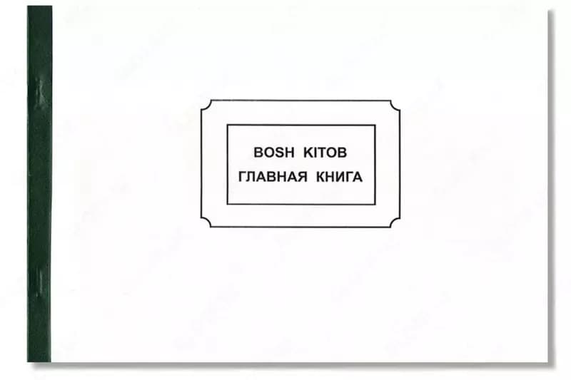 Главная книга формата А4, 50 листов, офсетная бумага — 1