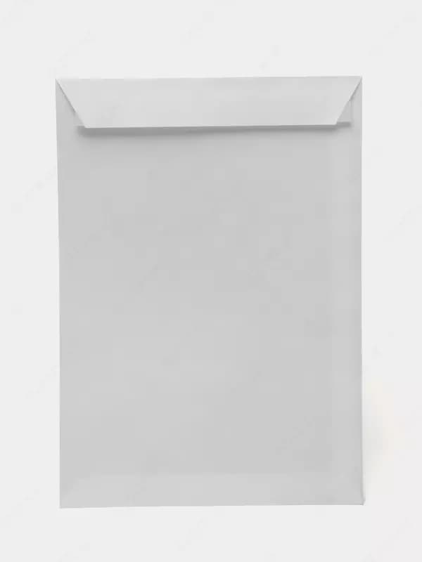 Пакет-конверт Е65 (110х220) 100 г/м² — 1