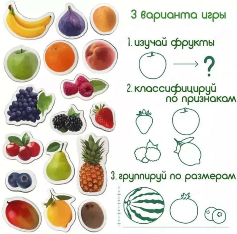 Магнит ”Фрукты и ягоды” — 3