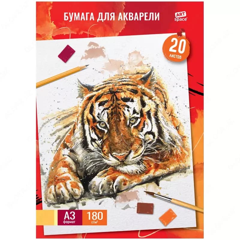 Папка для акварели ArtSpace ”Тигр”, А3, 180 гр/м², 20 листов — 2