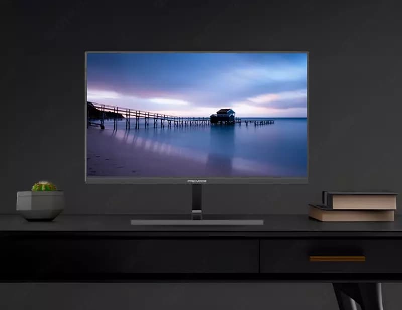 Монитор Premier 24″ 24PRM100 IPS FHD 100Hz — 2