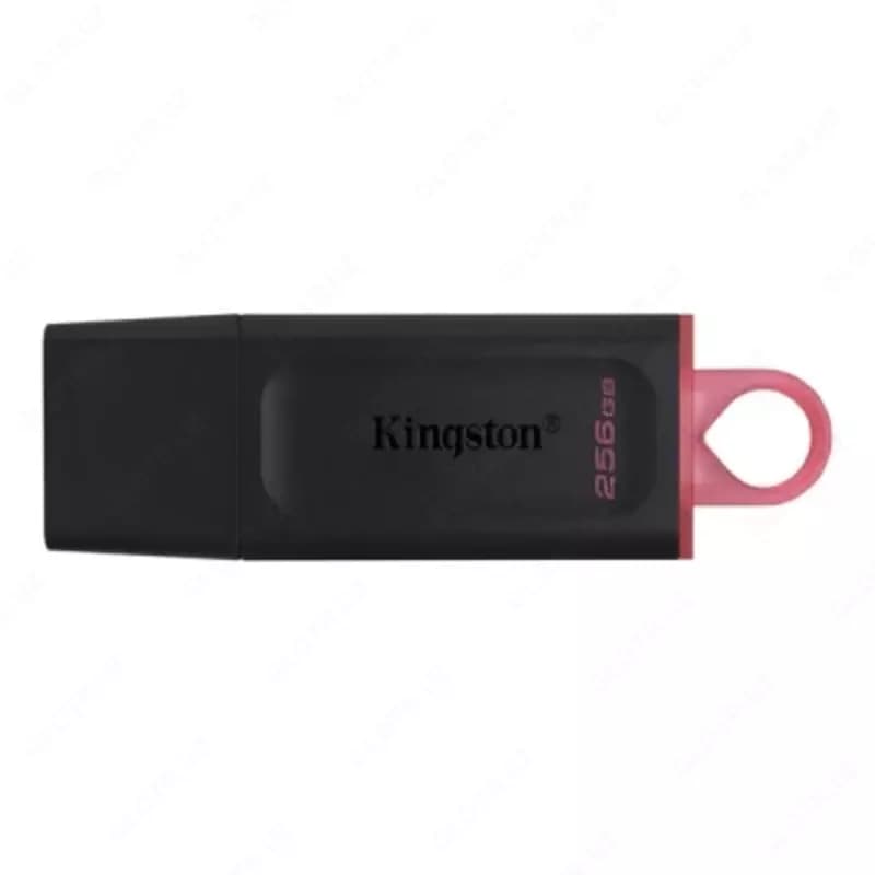 Флешка Kingston DTX 256 GB USB 3.2 — 1