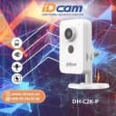 DH-C2K-P