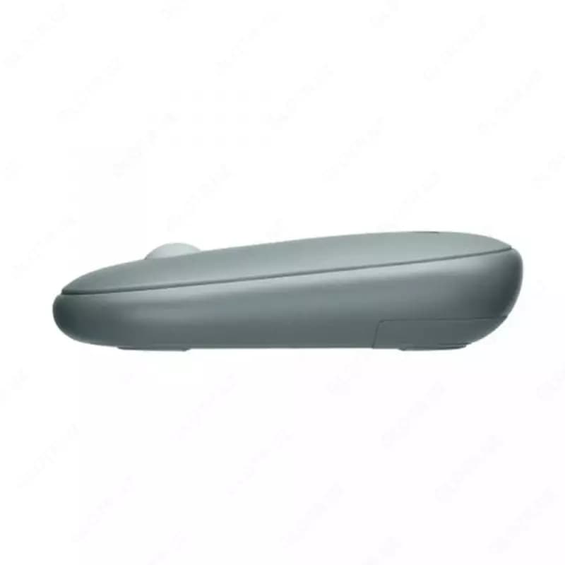 Mouse 2E MF300 Silent WL BT Ashen green — 1