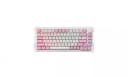 Клавиатура Akko 5075B Plus Prunus Lannesiana CS Silver RGB