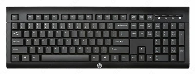 Клавиатура HP K2500 E5E78AA Black USB — 1