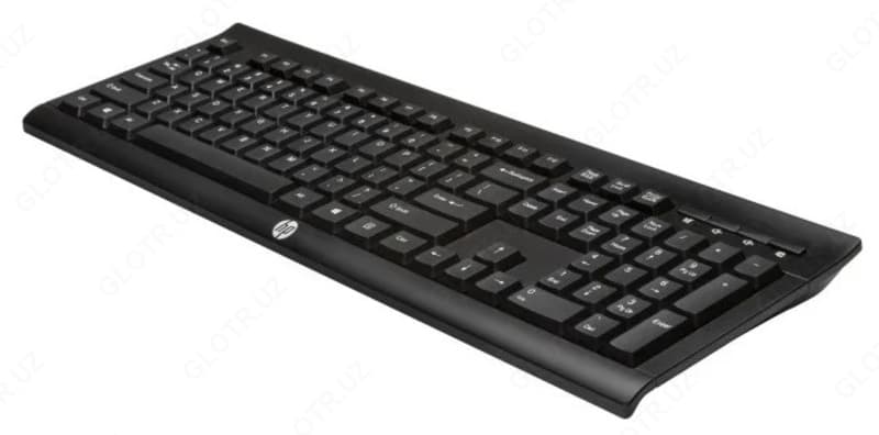 Клавиатура HP K2500 E5E78AA Black USB — 2