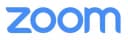 Подписка Zoom ”Professional” (1 месяц)