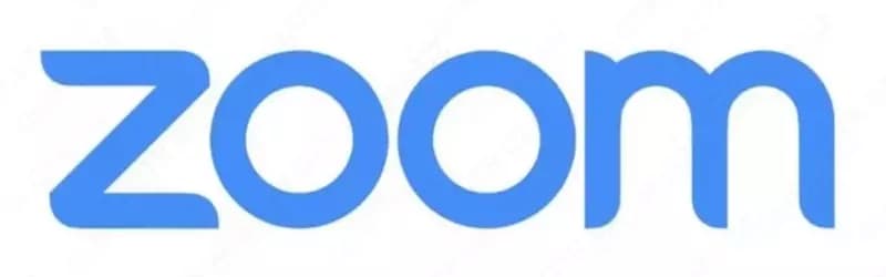 Подписка Zoom ”Professional” (1 месяц) — 1