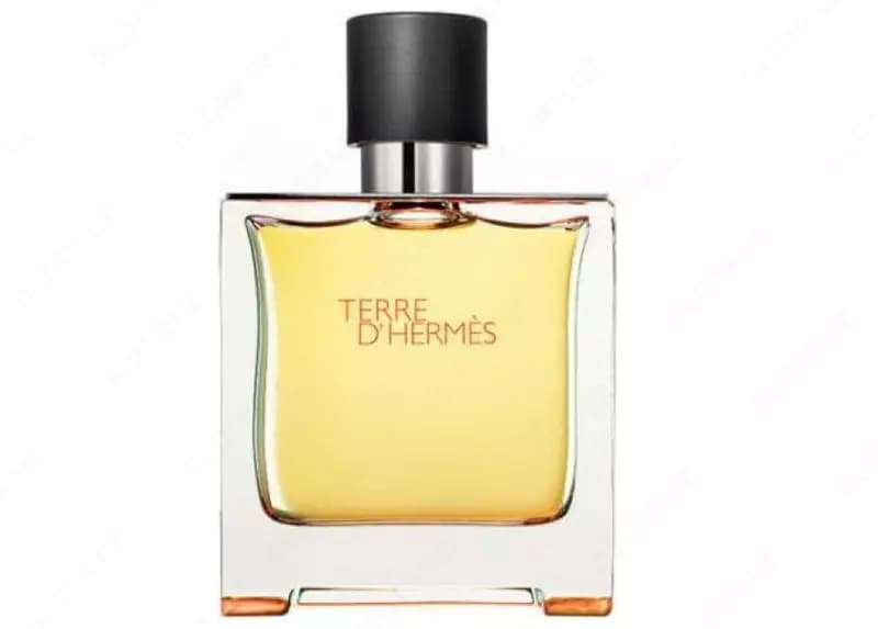 Туалетная вода для мужчин ”Hermès” Terre d'Hermès, 100 мл. (Копия-А) Турция — 2