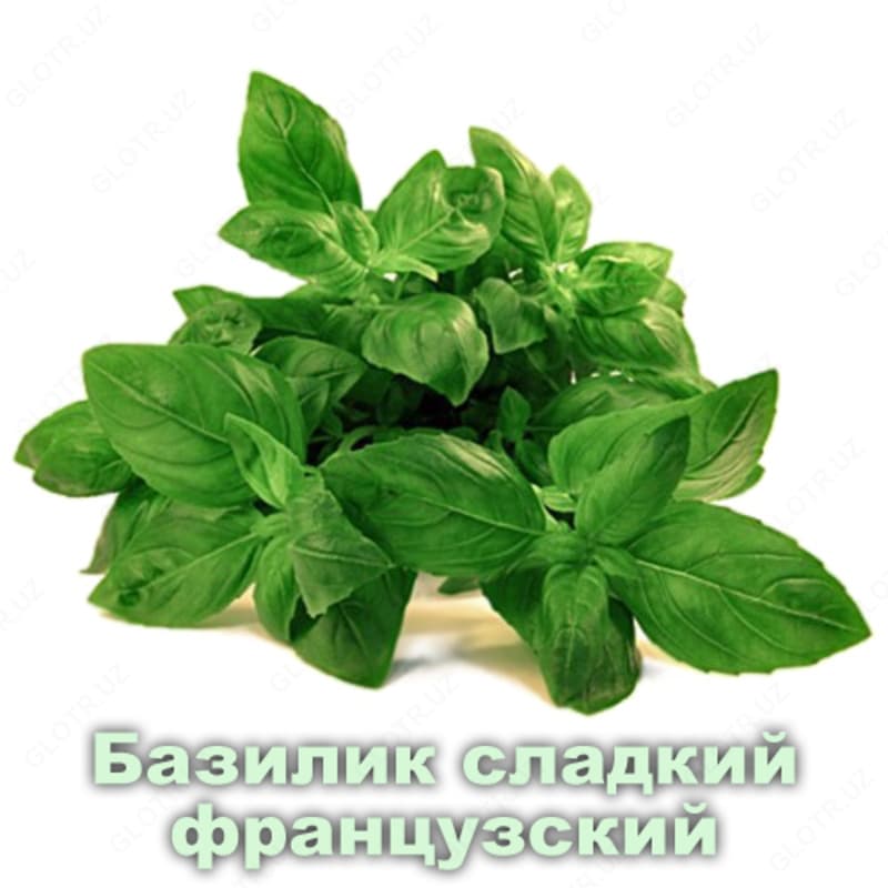 Эфирное масло Базилик Vivasan, Швейцария — 2