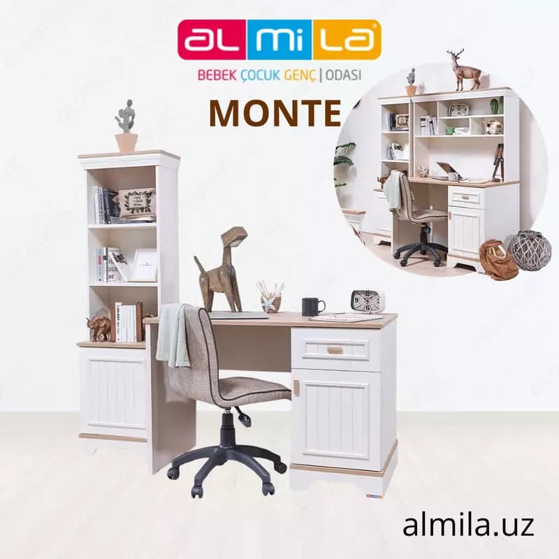 Письменный стол коллекции MONTE от ALMILA (Турция) 🇹🇷 — 1