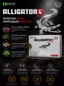 БАД ALLIGATOR NEO 550 мг 20 капсул, капсулы для мужчин, улучшающие эректильную функцию