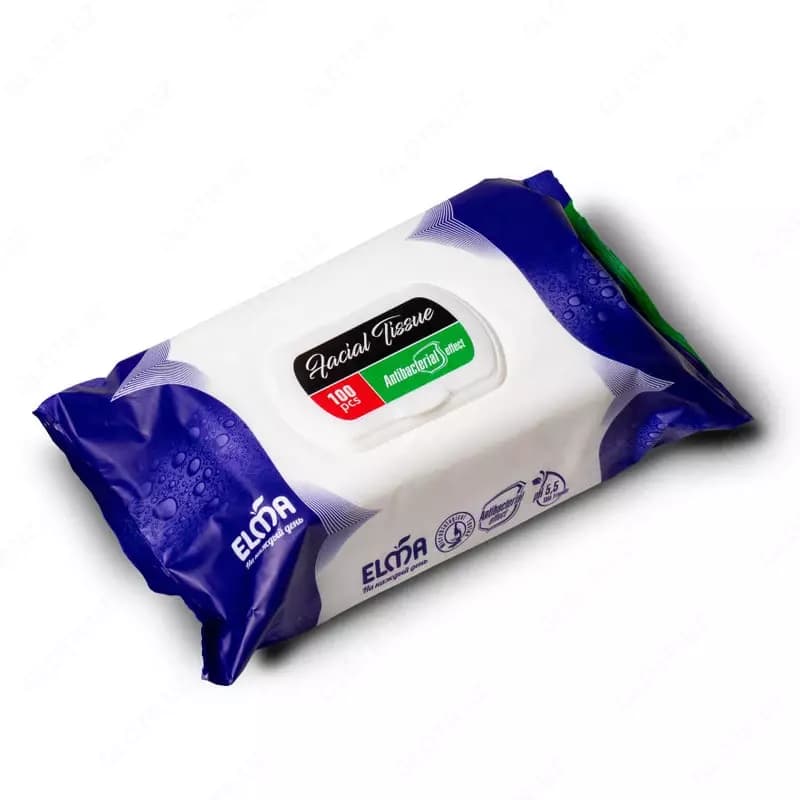 Влажные салфетки ”Elma” Antibacterial, 100 шт. — 1