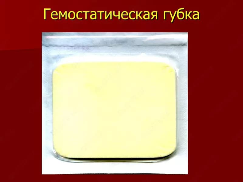 Гемогубка — 2