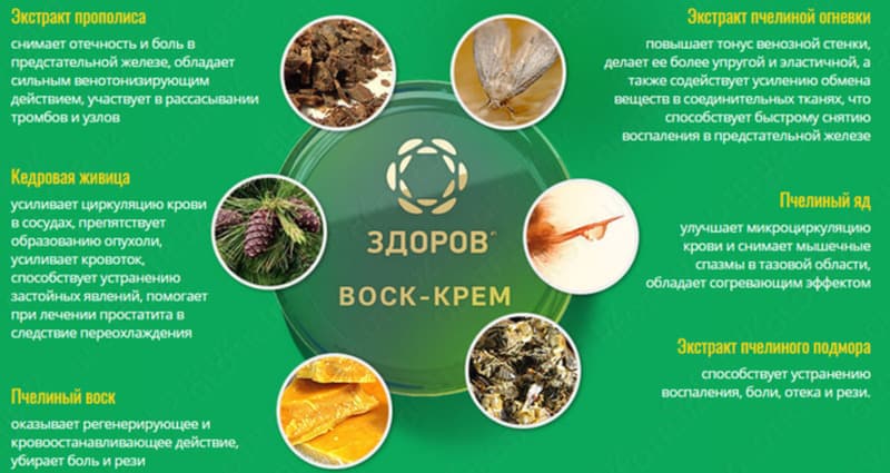 Крем-воск ЗДОРОВ пчелиный с прополисом — 2