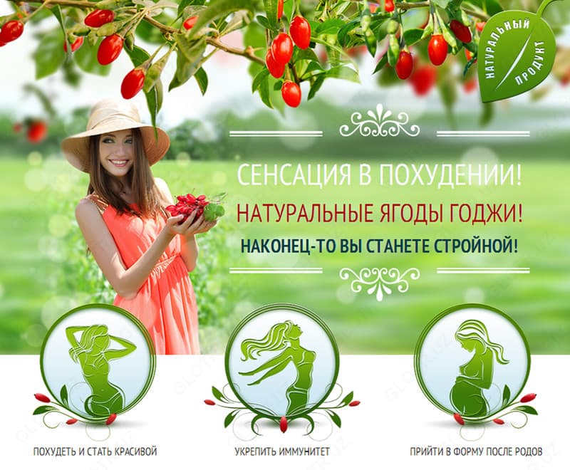 Годжи Берри (Годжи меваси) Ягоды Годжи для вашей стройности — 2